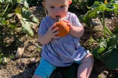 Baby-with-pumpkin