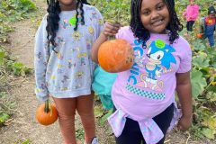 Pumpkin-Patch-Field-Trip