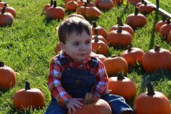 child-in-pumpkin-patch2