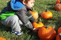 child-with-pumpkins