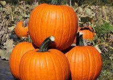 few-pumpkins