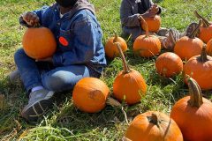 two-boys-in-pumpkin-patch