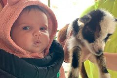 Baby-with-baby-goat