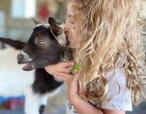 Girl-kissing-goat