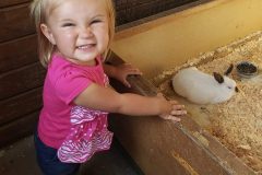 Girl-looking-at-white-rabbit-in-Animal-Barn
