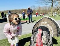 Turkey-with-girl