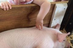 girl-petting-piglet