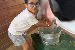 maggie-moo-milking